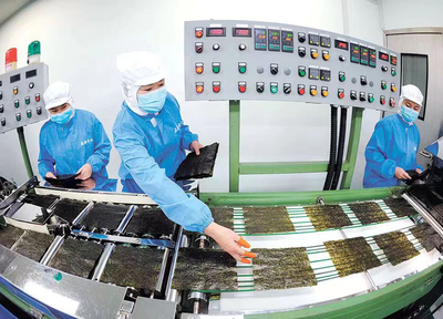 1至4月同比增九成！數字化轉型賦能連云港外貿進出口“新”意滿滿